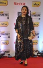 Salma Agha walked the Red Carpet at the 59th Idea Filmfare Awards 2013 at Yash Raj